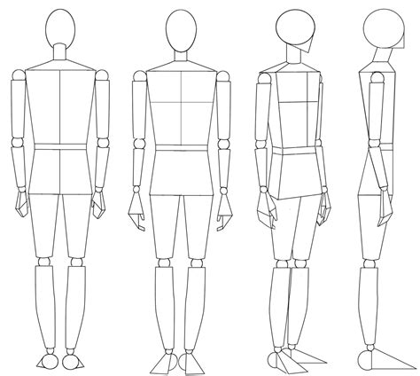 Drawing the Human Figure: Angles & Proportions - HubPages