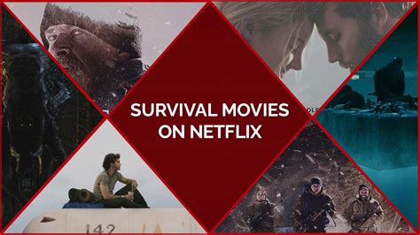 20 Best Survival Movies on Netflix To Overcome Any Fear