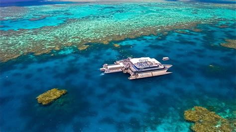 Glass Bottom Boats | Tropical North QLD