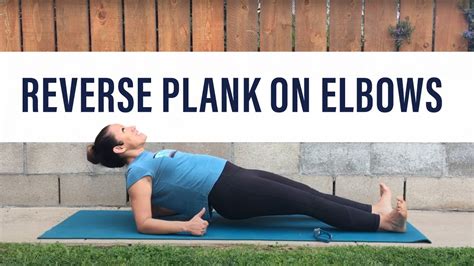 Reverse Plank On Elbows - YouTube