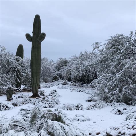 Southeast Arizona gets rain, snow on New Year's morning | Local news | tucson.com