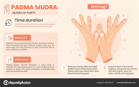 Explorando Los Beneficios Características Método Padma Mudra Diseño Ilustración Vectorial vector ...