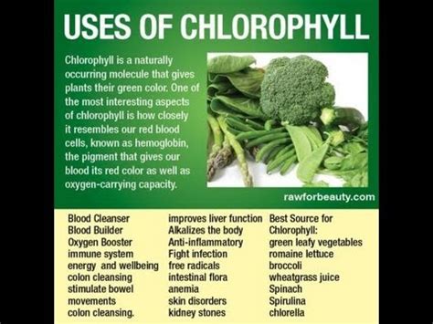 Edmark Splina Liquid Chlorophyll And Other Edmark Products - Health ...