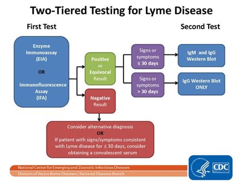 Two-step Laboratory Testing Process| Lyme Disease | CDC