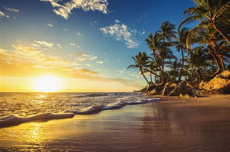 Landscape of paradise tropical island beach, sunrise shot - Palm trees ...