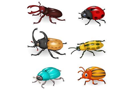 Cartoon Beetle Vector Set By tigatelu | TheHungryJPEG