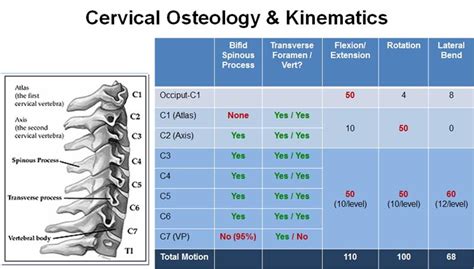 Atlantoaxial Instability - Spine - Orthobullets