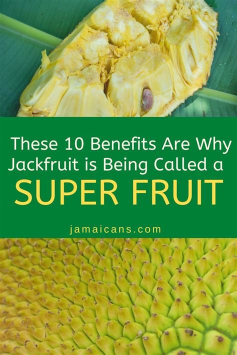 These 10 Benefits Are Why Jackfruit is Being Called a Super Fruit - Jamaicans.com in 2021 ...