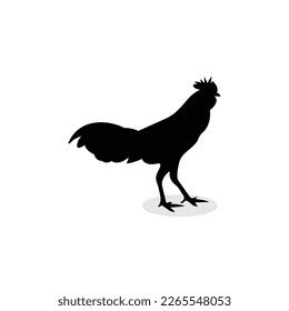 High Quality Chicken Silhouette Design Your Stock Vector (Royalty Free) 2265548053 | Shutterstock