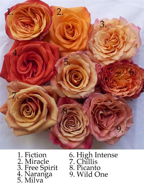 The Orange Rose Study | Flirty Fleurs The Florist Blog - Inspiration ...