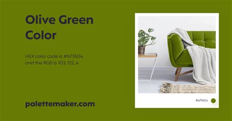 Olive Green Color - HEX #677A04 Meaning and Live Previews - PaletteMaker