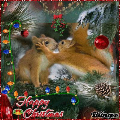 Christmas Squirrels Picture #118409097 | Blingee.com