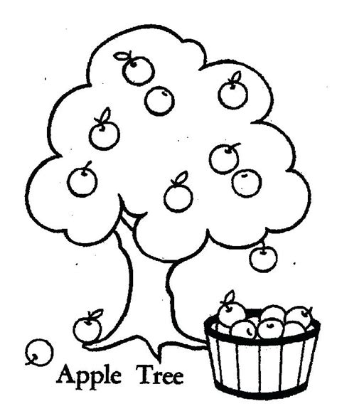 Fruit Tree Coloring Pages Printable Coloring Pages