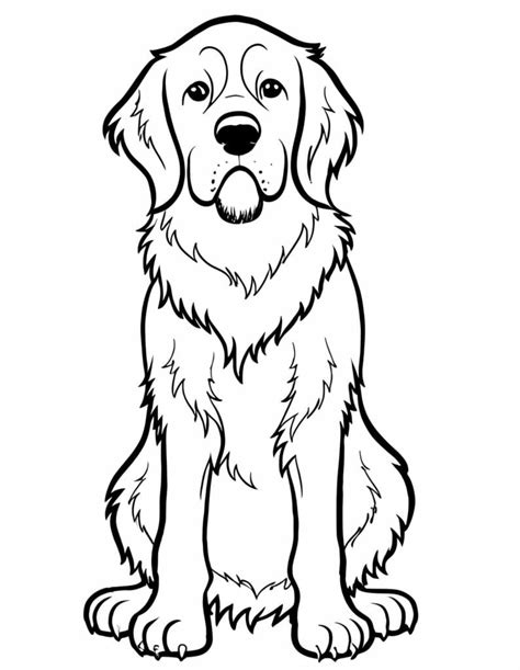 Dibujos de El Perro Golden Retriever para Colorear para Colorear, Pintar e Imprimir - Dibujos ...