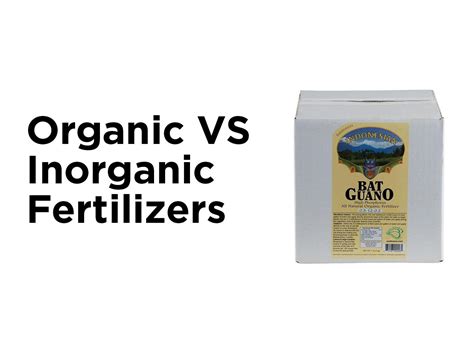 Organic vs. Inorganic Fertilizers — 1000Bulbs Blog