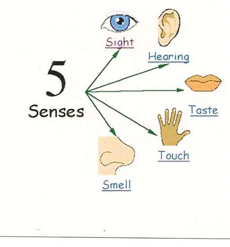 Picture This!: Making Sense of Sensory Details