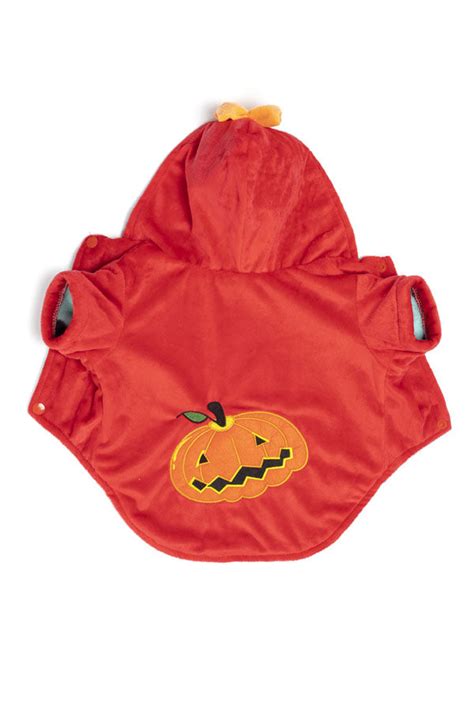 Cat Dog Pumpkin Costume Pet Halloween Clothes – YawBako