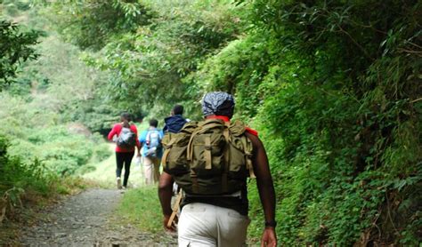 Hiking the Blue Mountain Peak in Jamaica