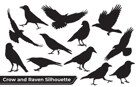 Collection of Crow and Raven Silhouette Graphic by adopik · Creative ...