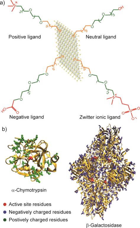 (a) Structure of different ligands utilized for functionalization of... | Download Scientific ...