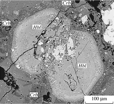 BSE image of an aggregate of hornblende crystals in the groundmass. The ...