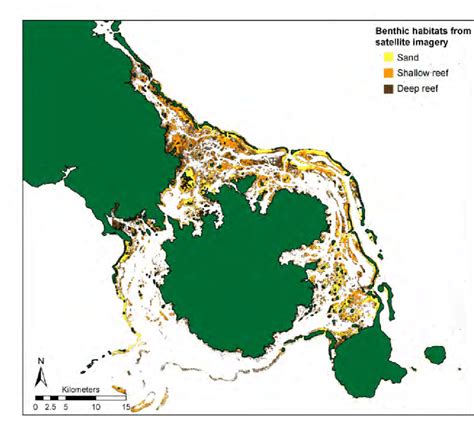 2: Benthic habitat map resulting from field surveys (spot check ...