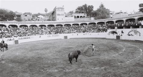 The Bull Ring | Nick Levitan