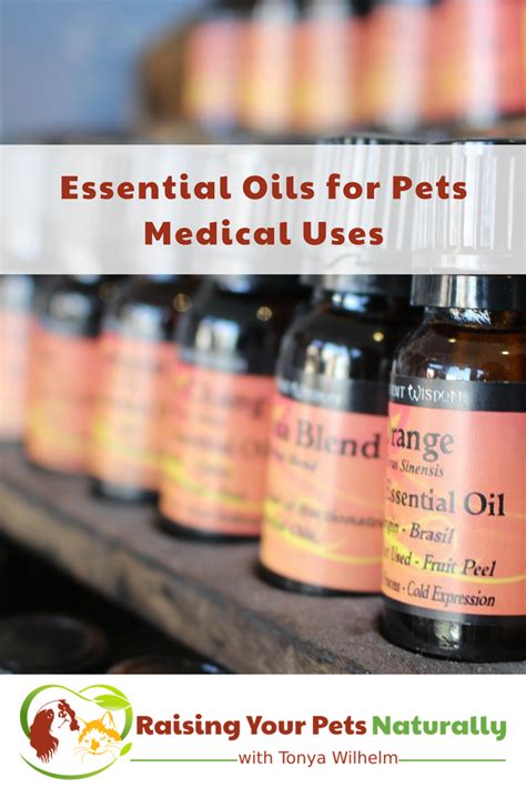 Common essential oils for dogs. Essential oils for dog allergies and itchy skin, ears and more ...