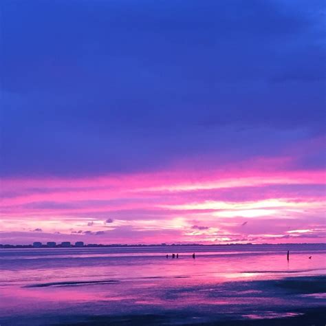 Photo of the Week: Neon Sarasota Sunset | Sarasota Magazine