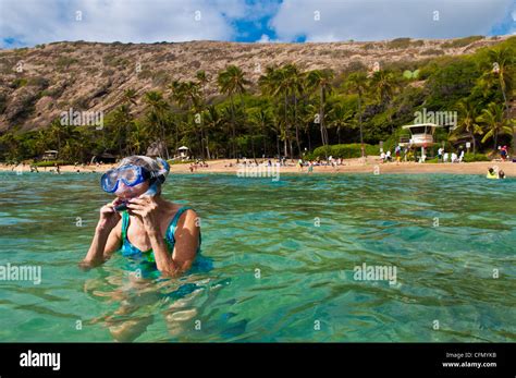 Snorkeling Hanauma Bay State Park : Maybe you would like to learn more about one of these?