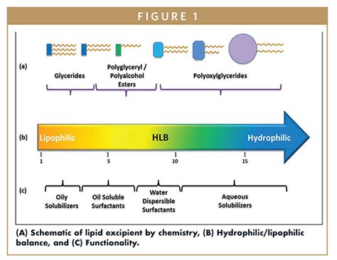 LIPID-BASED DELIVERY - Are Lipid-Based Drug Delivery Systems in Your ...