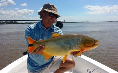 Fishing Report: Rìo Parana by Luis San Miguel | Fly dreamers