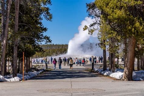 Yellowstone In April: 10 Important Things To Know