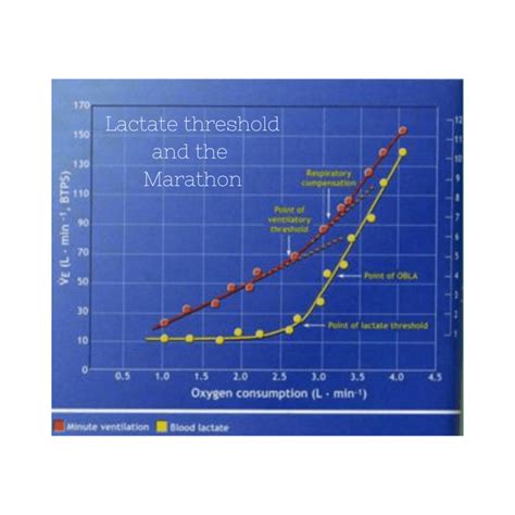 Lactate threshold and the marathon - Luke Humphrey Running