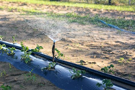 Transforming Smallholder Irrigation