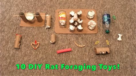 10 DIY Rat Foraging Toys! - YouTube