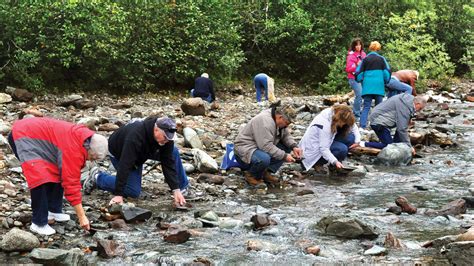 Juneau, Alaska Day Tour; Gold Panning, Alaska Salmon Bake; Gold Creek