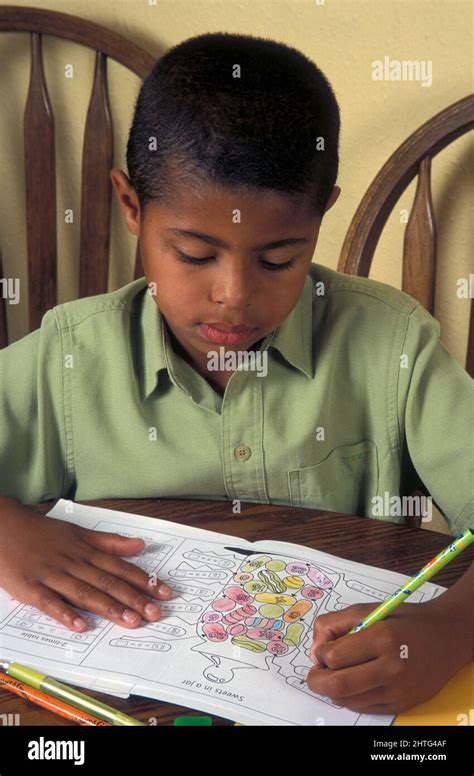 Child doing maths homework hi-res stock photography and images - Alamy