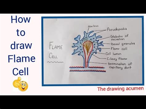 How to draw Flame Cell step by step for beginners in a very easy way !! - YouTube