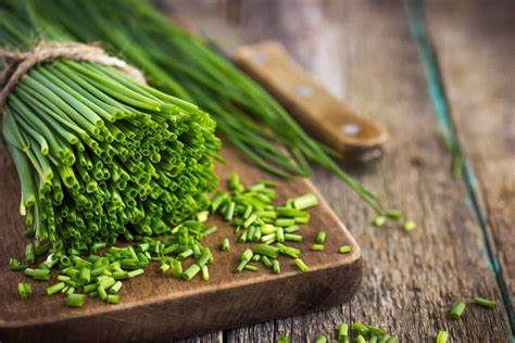 Chives: An Ancient Herb With A Delicate Flavor