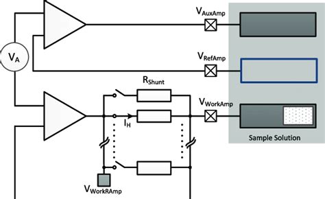 Schematic representation of the amperometric sensor interface: it is ...