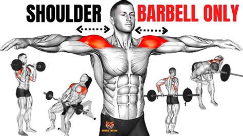 14 BEST SHOULDER WORKOUT WITH BARBELL ONLY AT HOME OR AT GYM ...