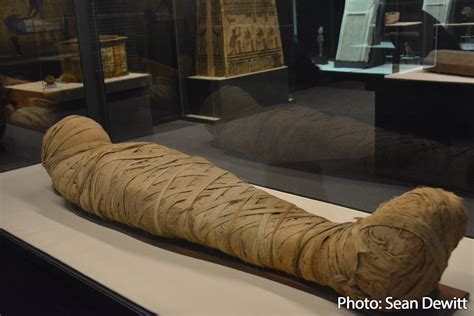 Sneak peek: Egyptian Mummies and Eternal Life makes its North American debut at the Museum of ...