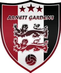 Arnett Gardens (Jamaica) team information