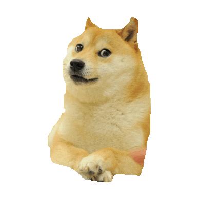 Doge Sticker by imoji for iOS & Android | GIPHY