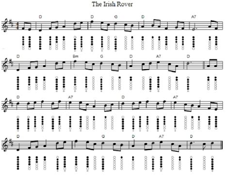 The Irish Rover Tin Whistle Sheet Music - Irish folk songs