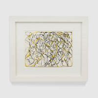 Brice Marden Biography, Artworks & Exhibitions | Ocula Artist