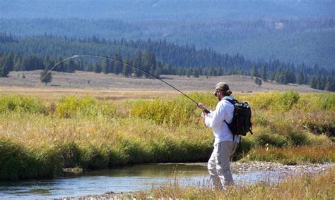 Yellowstone National Park Fishing Guides & Fly Shops - AllTrips