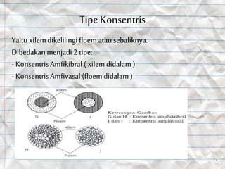 Unduh 89 Gambar Jaringan Vaskuler Terbaru - Info Gambar