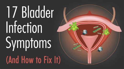 Bladder Inflammation Symptoms 10 Early Warnings Of A Bladder Infection (and 10 Remedies For It ...